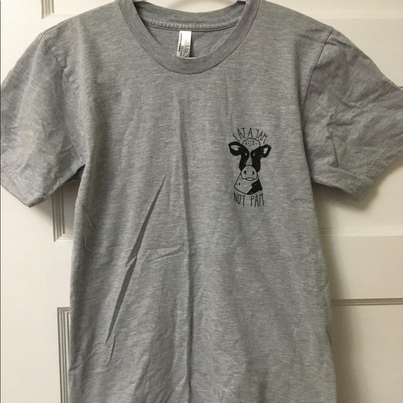 Grey American apparel t-shirt with logo - Picture 2 of 3